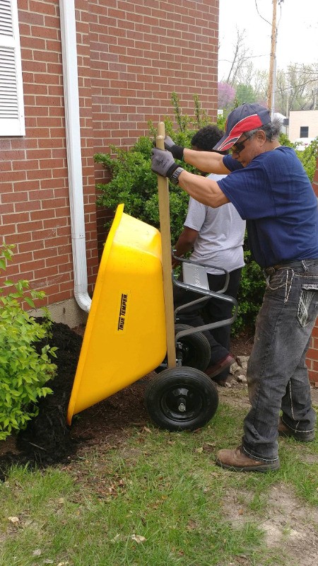 leo abraca landscape450